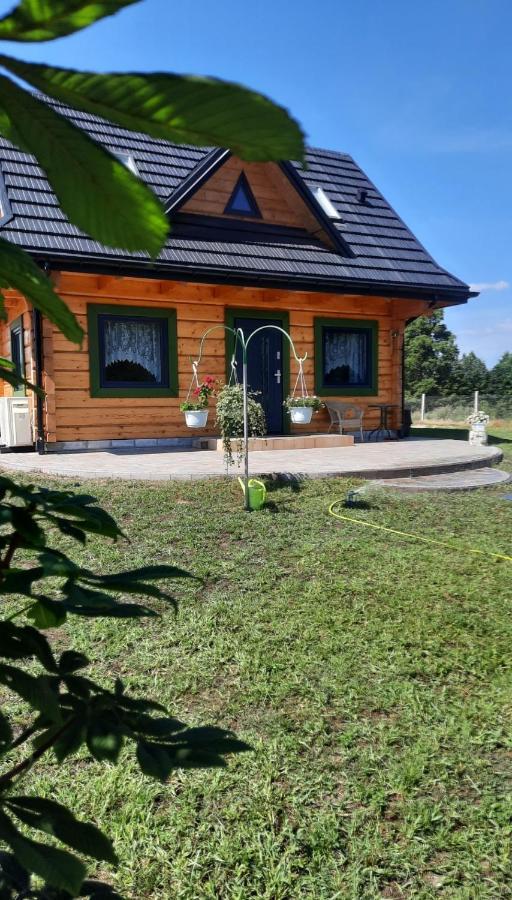 Domek Do Wynajecia - Siedlisko Przy Lesie Rzasnik Kültér fotó